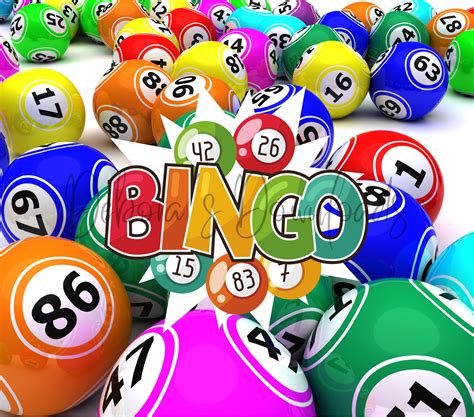 bingolim|Bingolim .